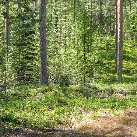 Vakantiehuis Honkakoli 9 By Interhome *