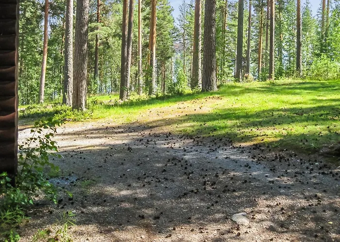 Honkakoli 9 By Interhome Hébergement de vacances