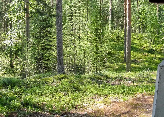 Honkakoli 9 By Interhome Hattusaari